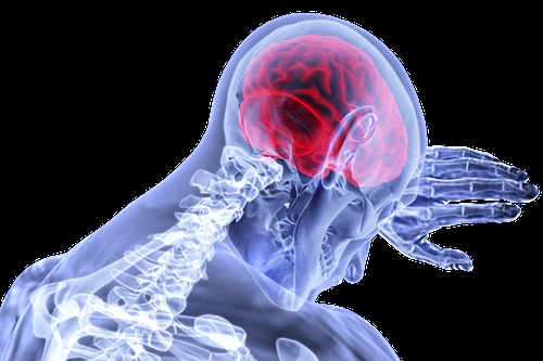 病院で原因不明と言われた症状にも対応 病院で原因不明と言われた症状にも対応